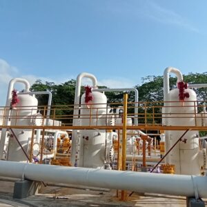 rectificador de gas vertical